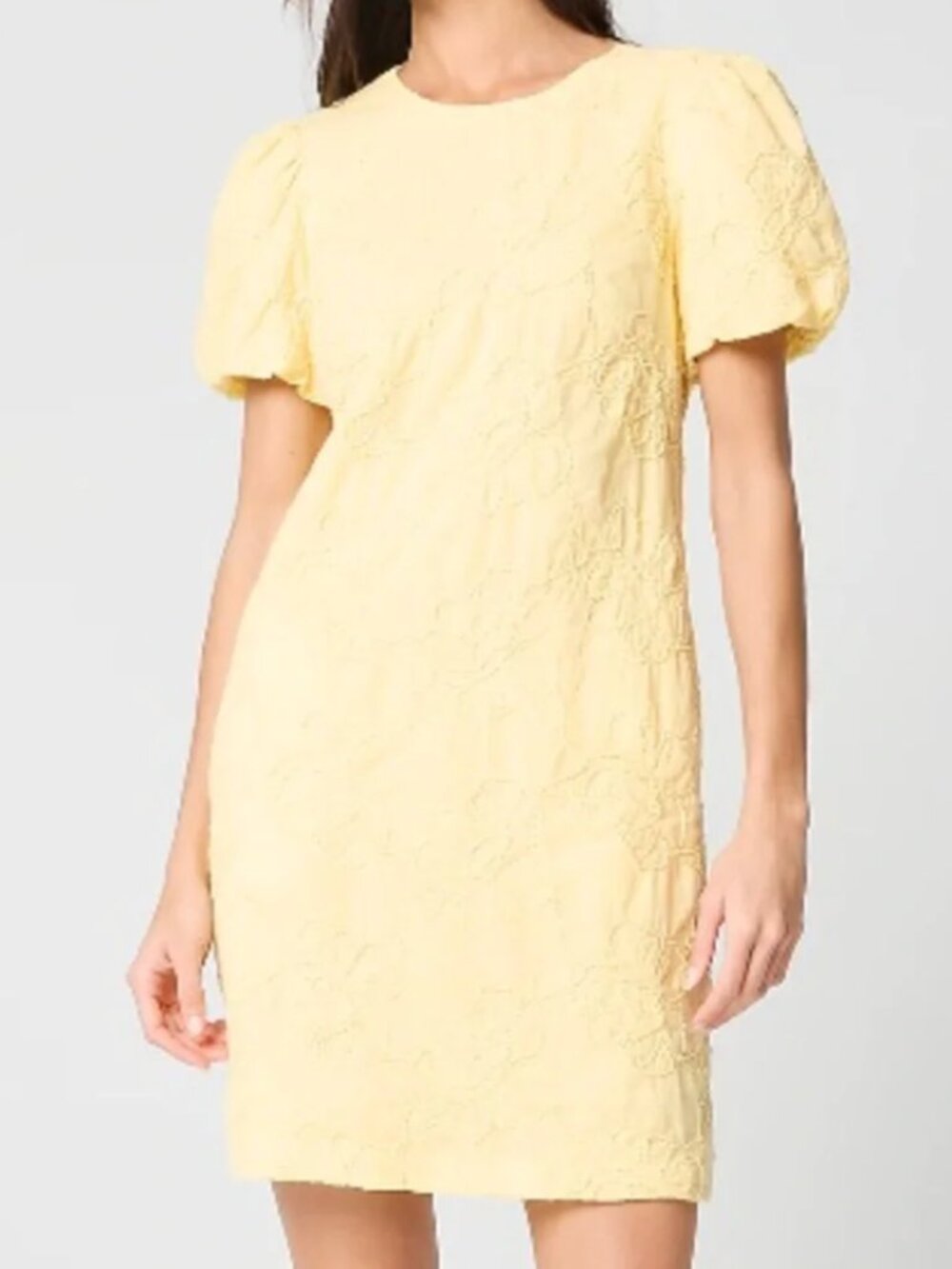 J. Crew embroidered puff-sleeve mini dress